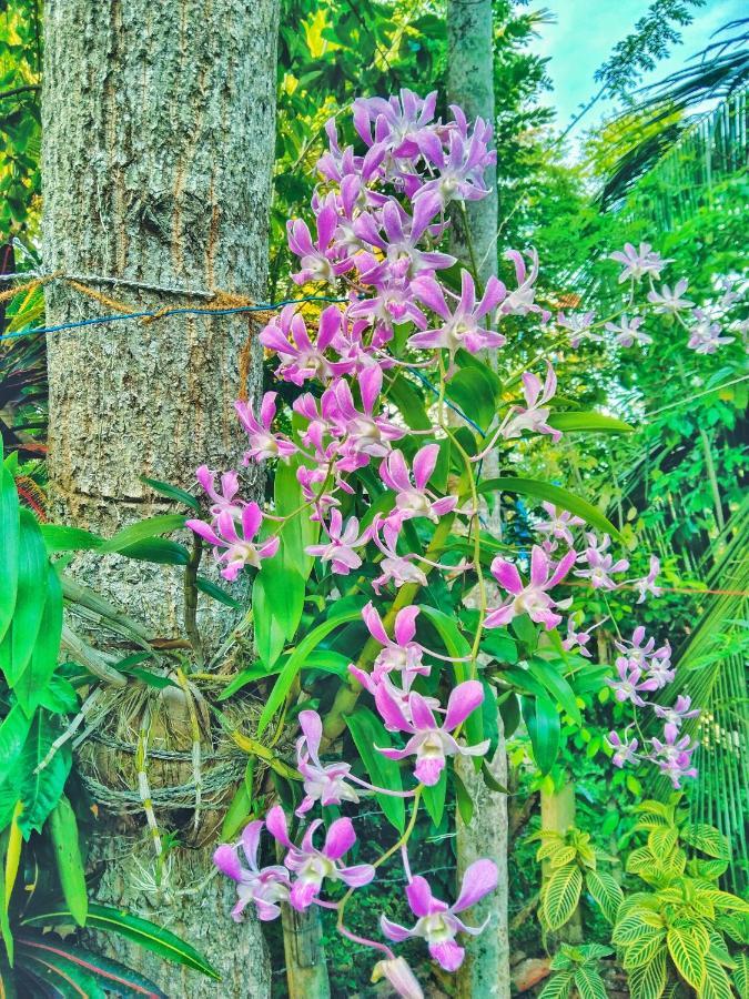 Ameena Homestay Tangalle Bagian luar foto